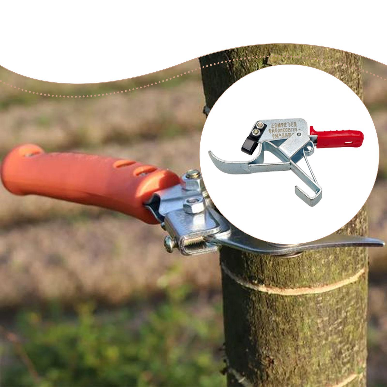Gardening Tools Essential - Ferramenta para Enfaixar Árvores Frutíferas, Essencial,