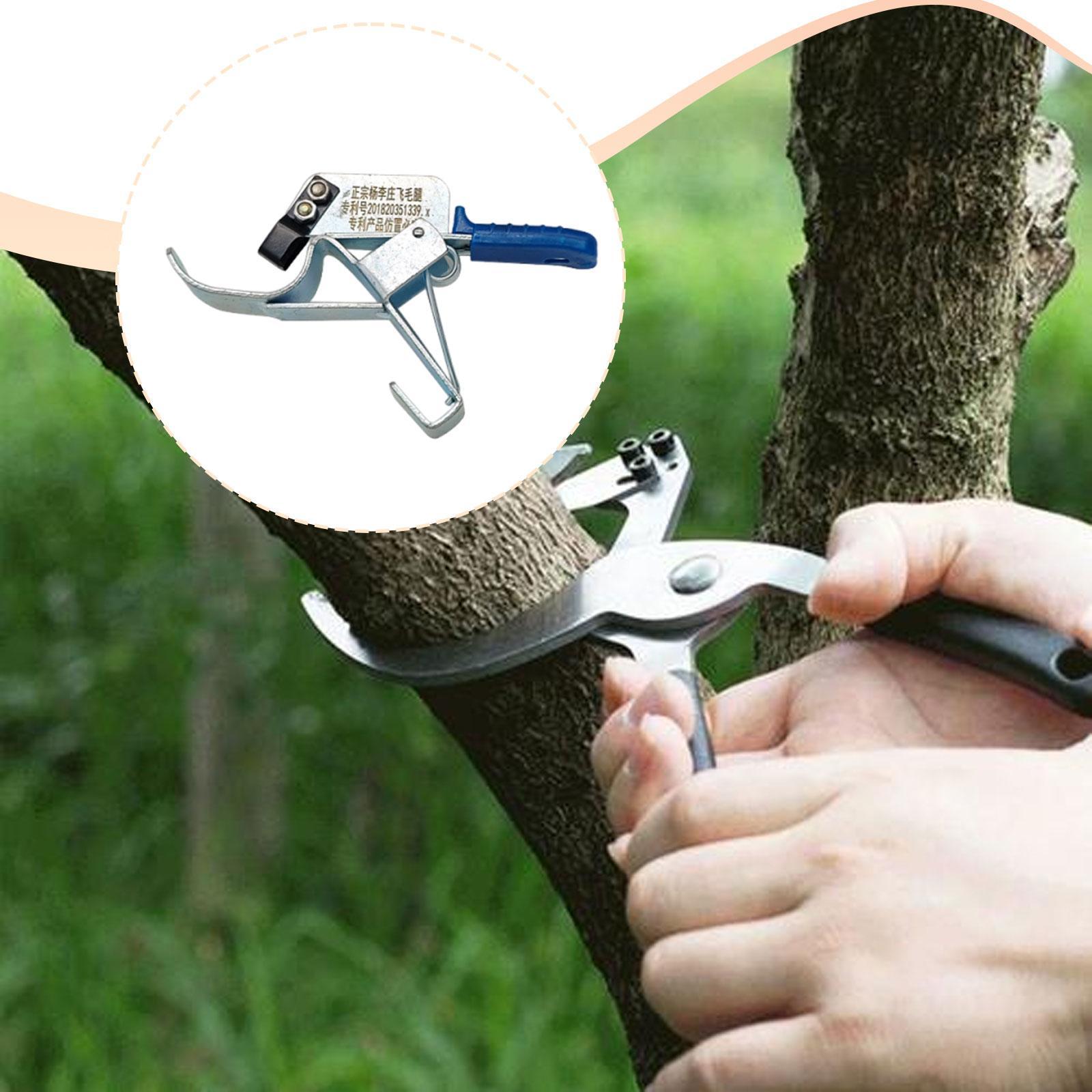 Ferramenta para Enfaixar Árvor - Gardening Tools Essential avaliação e preço