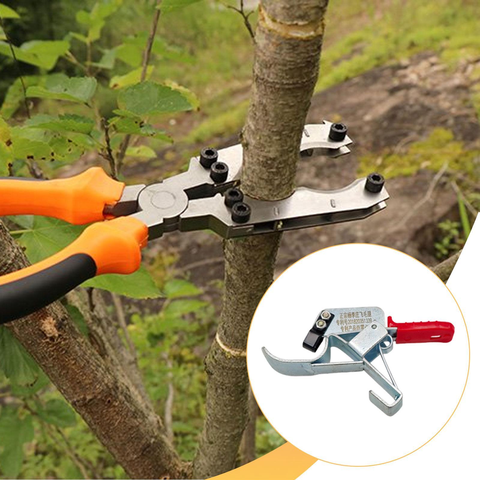 Ferramenta para Enfaixar Árvor - Gardening Tools Essential avaliação e preço