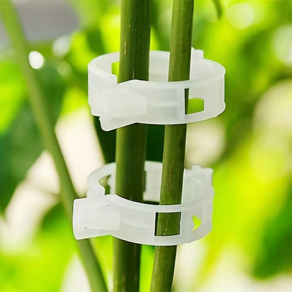 20 Peças de Clipes de Suporte  - Gardening Tools Vegetables avaliação e preço