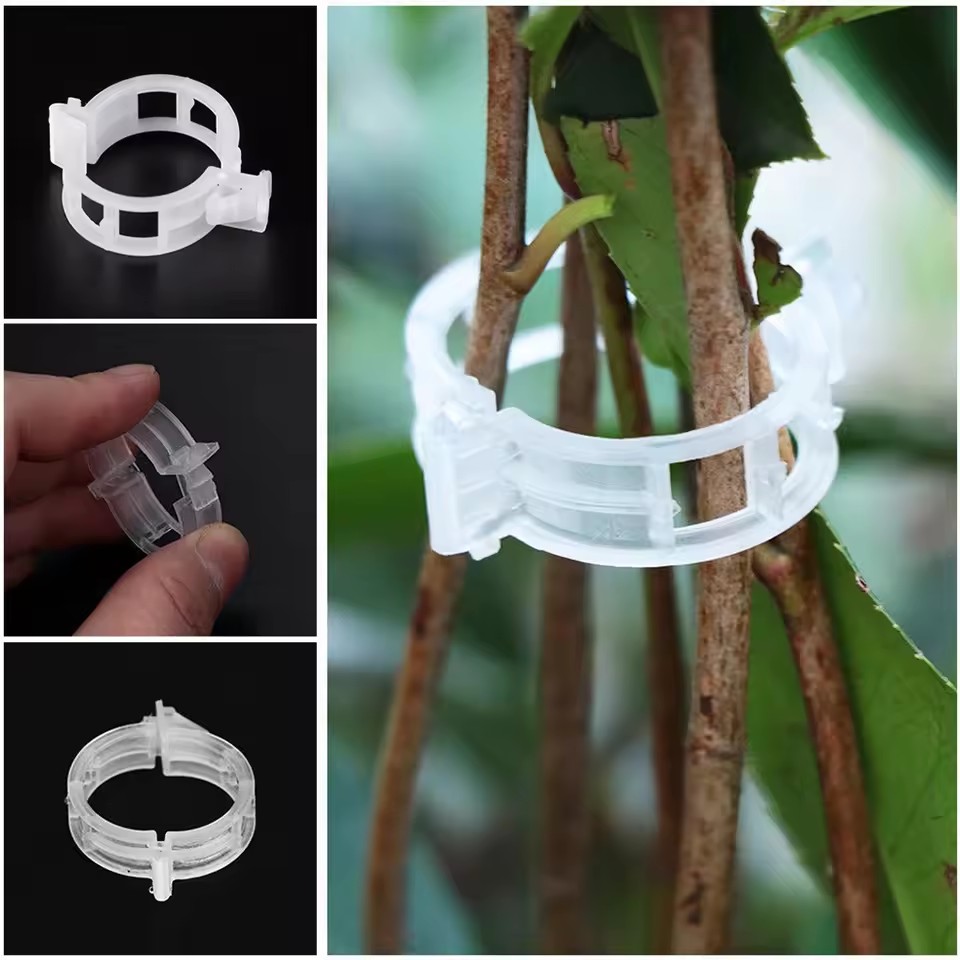 20 Peças de Clipes de Suporte  - Gardening Tools Vegetables avaliação e preço