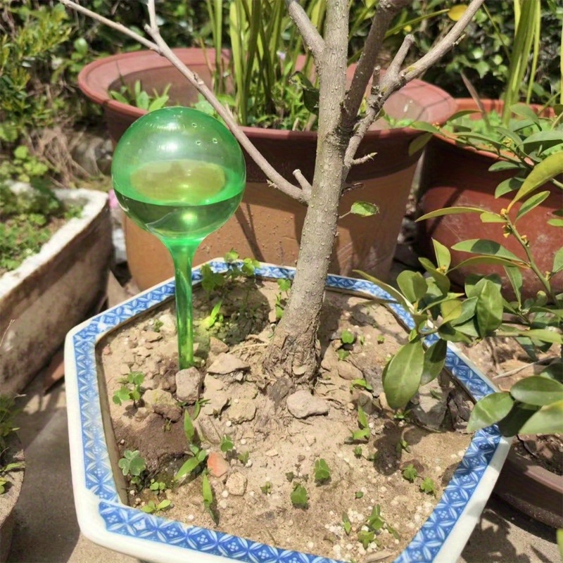 6PCS Bolas de Irrigação Automá - Automatic Plant Waterer avaliação e preço