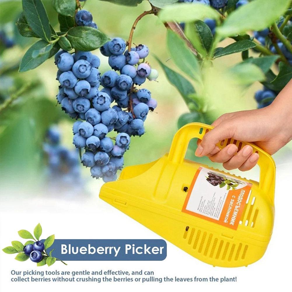 Ferramenta de Colheita de Mirt - Gardening Tools Must Haves avaliação e preço