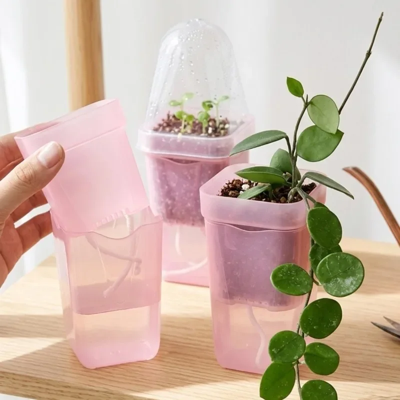 Vasos transparentes cor-de-ros - Self-Watering Planter avaliação e preço