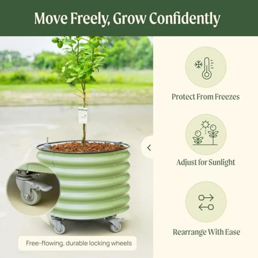 Vaso de plantio para cítricos  - Self-Watering Planter avaliação e preço
