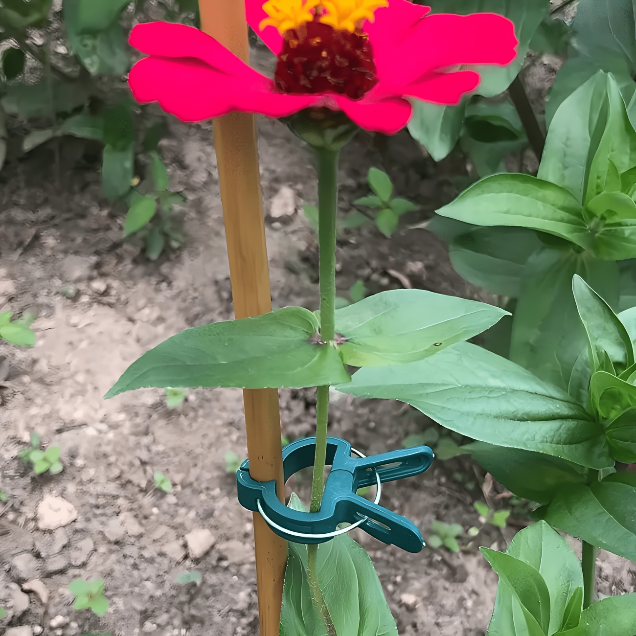 5 clipes ajustáveis para plant - Gardening Tools Essential avaliação e preço